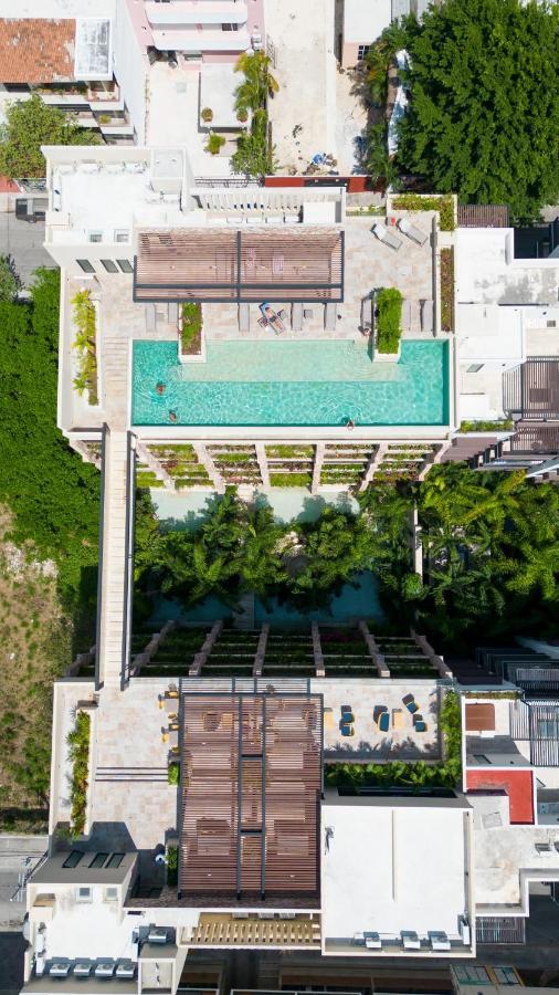 Maravilloso Estudio En Playa Rooftop-Pool-Bbq & Gym By Yeah Плая-дель-Кармен Экстерьер фото